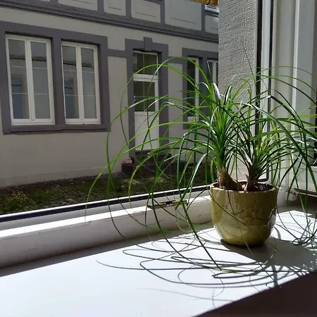 Отель Casa Naoki - Centre Historique